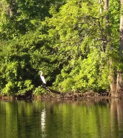 Old Fording Place - Fairfield, CT