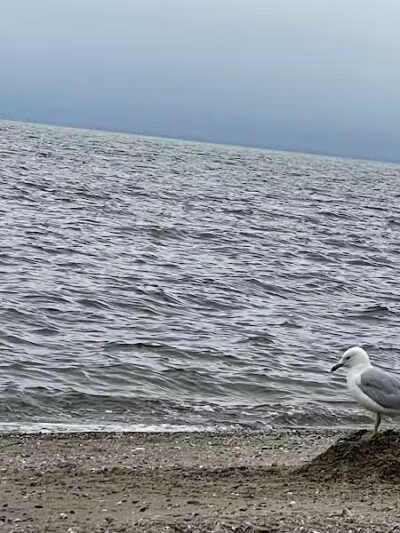 Penfield Beach - Fairfield, CT