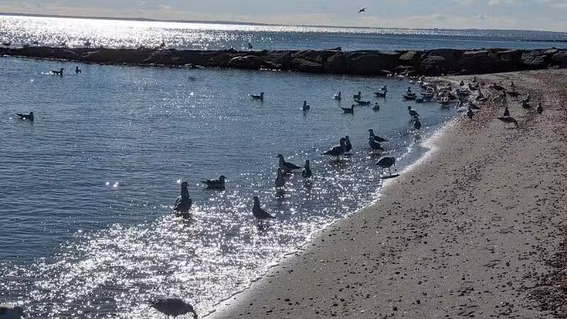 Penfield Beach - Fairfield, CT