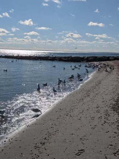 Penfield Beach - Fairfield, CT