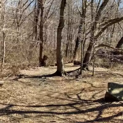 Perry's Mill Ponds - Fairfield, CT