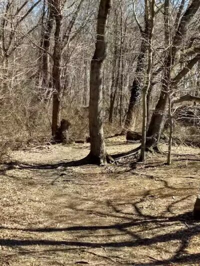 Perry's Mill Ponds - Fairfield, CT