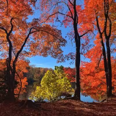 Perry's Mill Ponds - Fairfield, CT