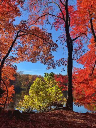Perry's Mill Ponds - Fairfield, CT