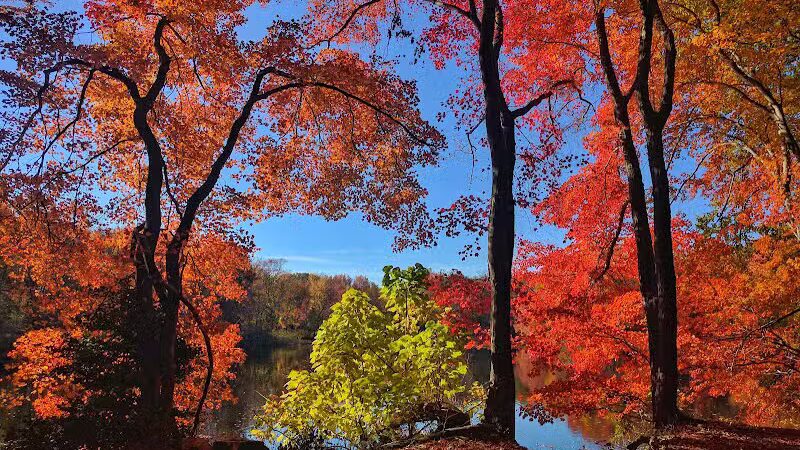 Perry's Mill Ponds - Fairfield, CT