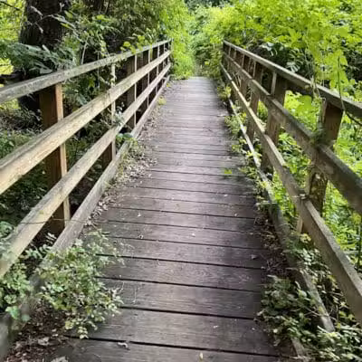 Perry's Mill Ponds - Fairfield, CT