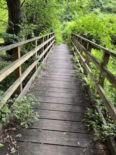 Perry's Mill Ponds - Fairfield, CT