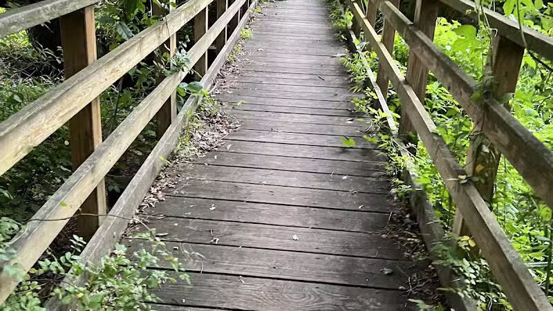 Perry's Mill Ponds - Fairfield, CT