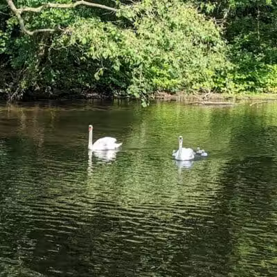 Perry's Mill Ponds - Fairfield, CT