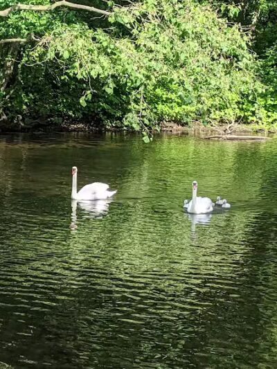 Perry's Mill Ponds - Fairfield, CT