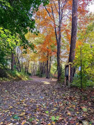 Perry's Mill Ponds - Fairfield, CT