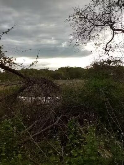 Pine Creek Avenue Playground - Fairfield, CT