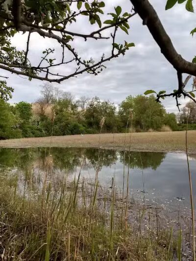 Pine Creek Avenue Playground - Fairfield, CT