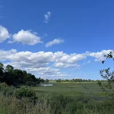 Pine Creek Recreation Plots - Fairfield, CT