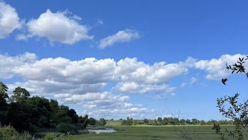 Pine Creek Recreation Plots - Fairfield, CT
