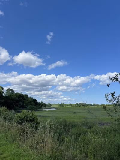 Pine Creek Recreation Plots - Fairfield, CT
