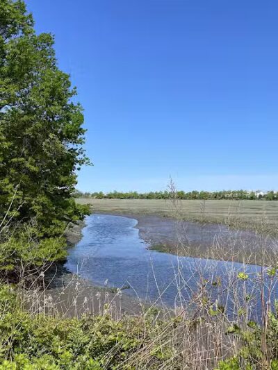 Pine Creek Recreation Plots - Fairfield, CT