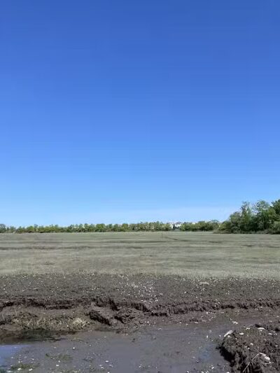 Pine Creek Recreation Plots - Fairfield, CT