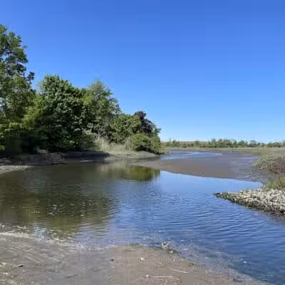 Pine Creek Recreation Plots - Fairfield, CT