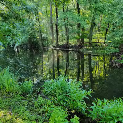 Riverside Park - Fairfield, CT