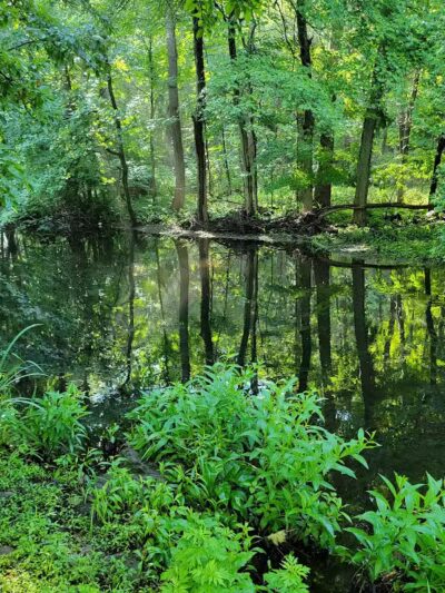Riverside Park - Fairfield, CT