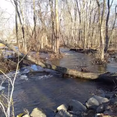 Riverside Park - Fairfield, CT