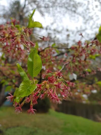 Riverside Park - Fairfield, CT
