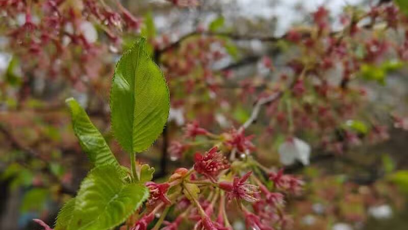 Riverside Park - Fairfield, CT