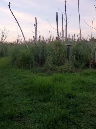 Serenity Path - Fairfield, CT