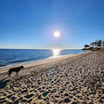 South Pine Creek Beach - Fairfield, CT