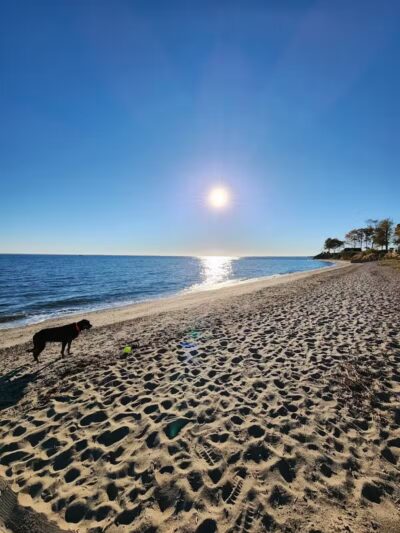 South Pine Creek Beach - Fairfield, CT
