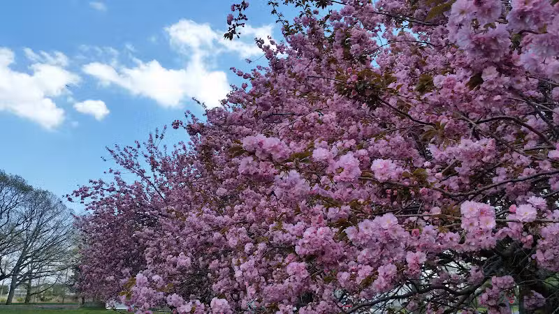 Veterans Park - Fairfield, CT