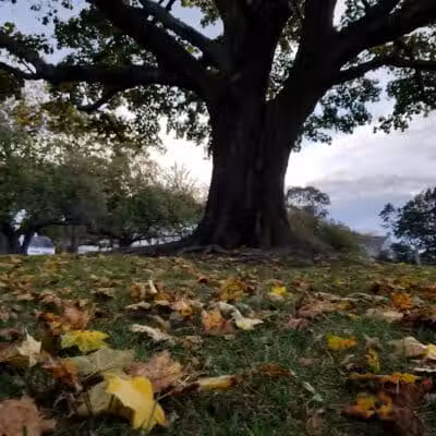 Veterans Park - Fairfield, CT