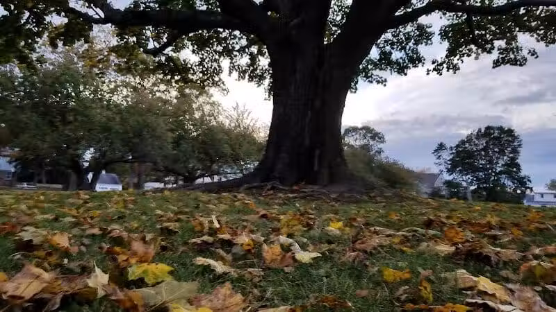 Veterans Park - Fairfield, CT