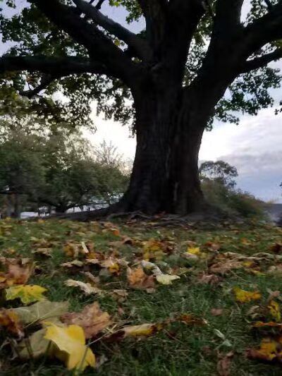 Veterans Park - Fairfield, CT