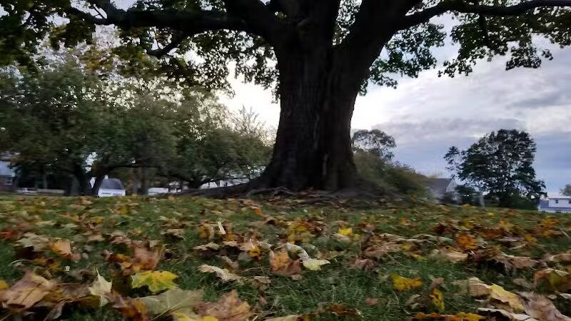 Veterans Park - Fairfield, CT