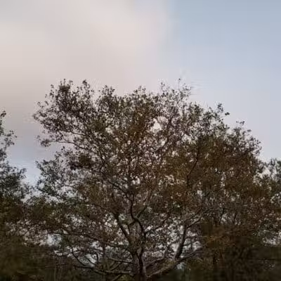Veterans Park - Fairfield, CT