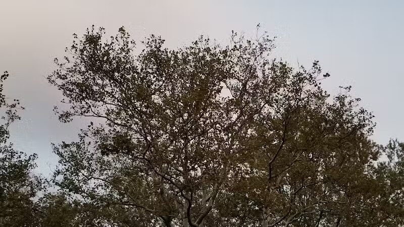 Veterans Park - Fairfield, CT