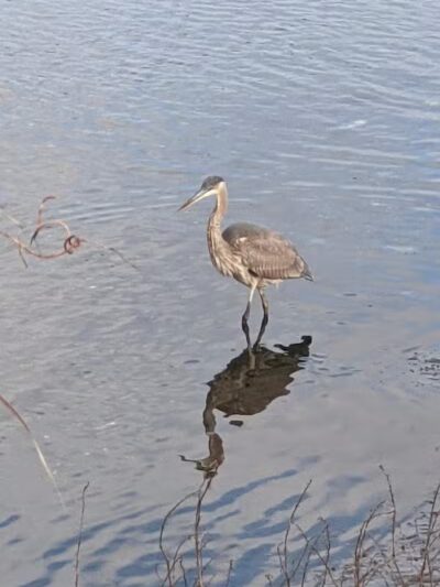 Ash Creek/Riverside Drive Open Space - Fairfield, CT