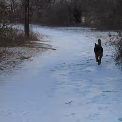 Ash Creek/Riverside Drive Open Space - Fairfield, CT