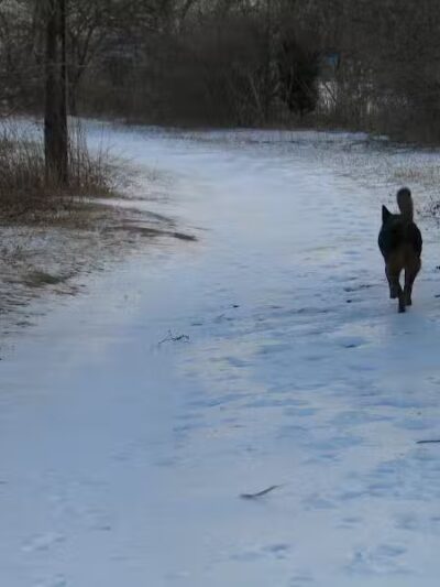 Ash Creek/Riverside Drive Open Space - Fairfield, CT