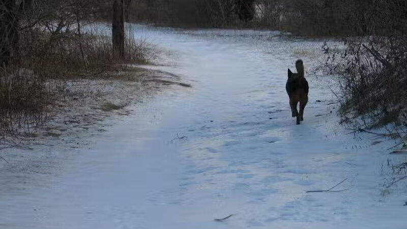 Ash Creek/Riverside Drive Open Space - Fairfield, CT