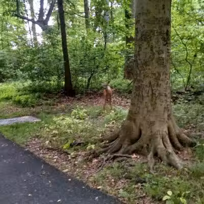 Fairfield Recreation - Fairfield, NJ