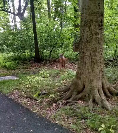 Fairfield Recreation - Fairfield, NJ