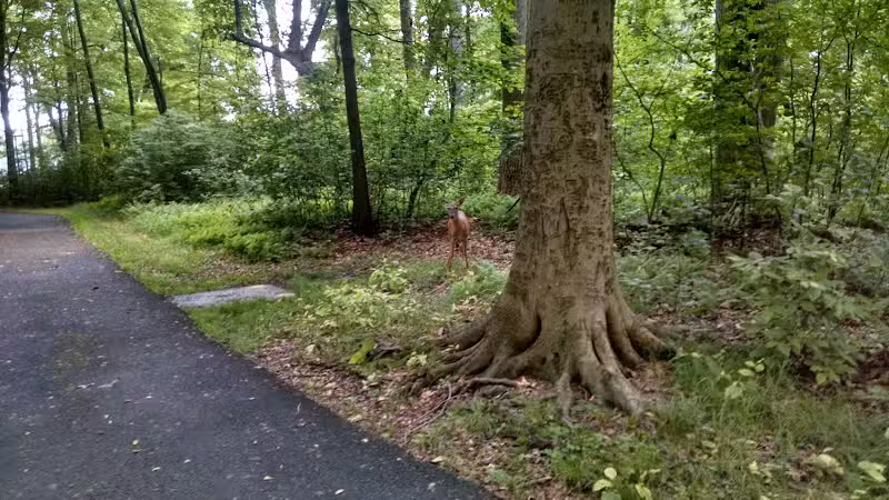 Fairfield Recreation - Fairfield, NJ