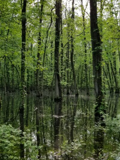 Great Piece Meadows - Fairfield, NJ