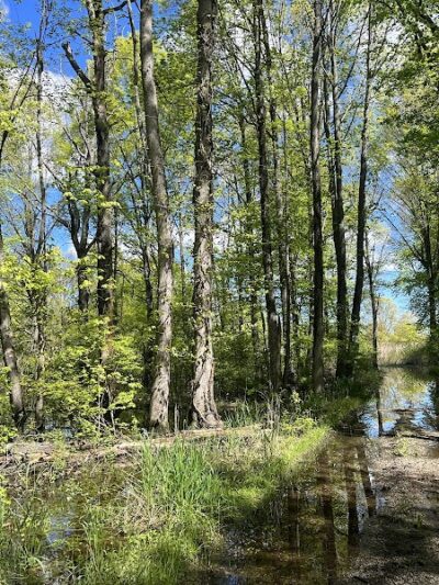 Great Piece Meadows - Fairfield, NJ