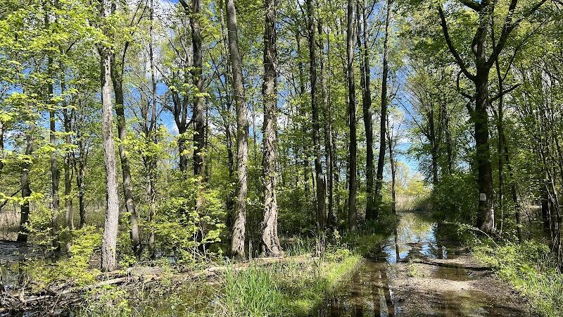 Great Piece Meadows - Fairfield, NJ