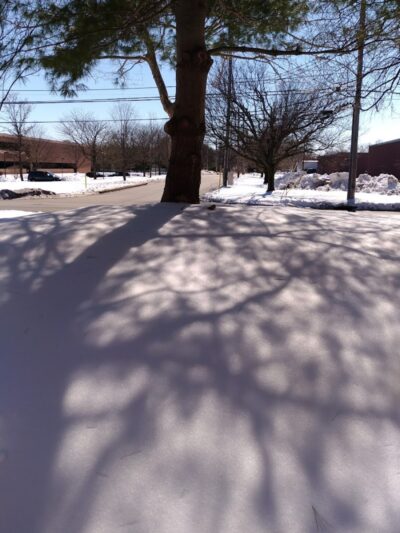 Great Piece Meadows - Fairfield, NJ