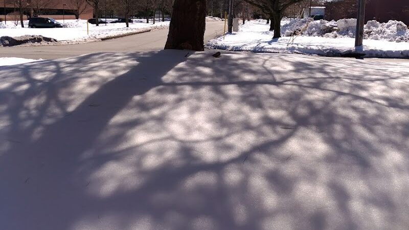 Great Piece Meadows - Fairfield, NJ